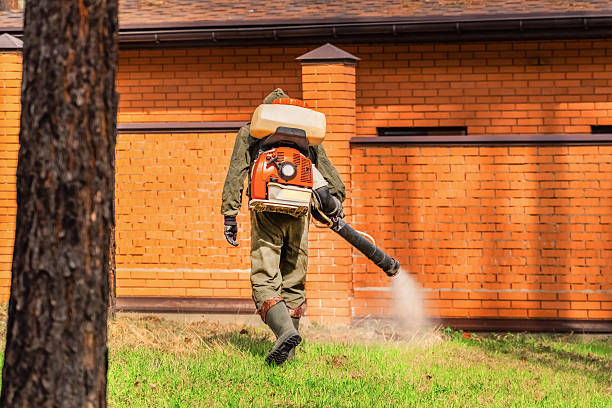 Bed Bug Clearance Verification and Documentation in Highwood